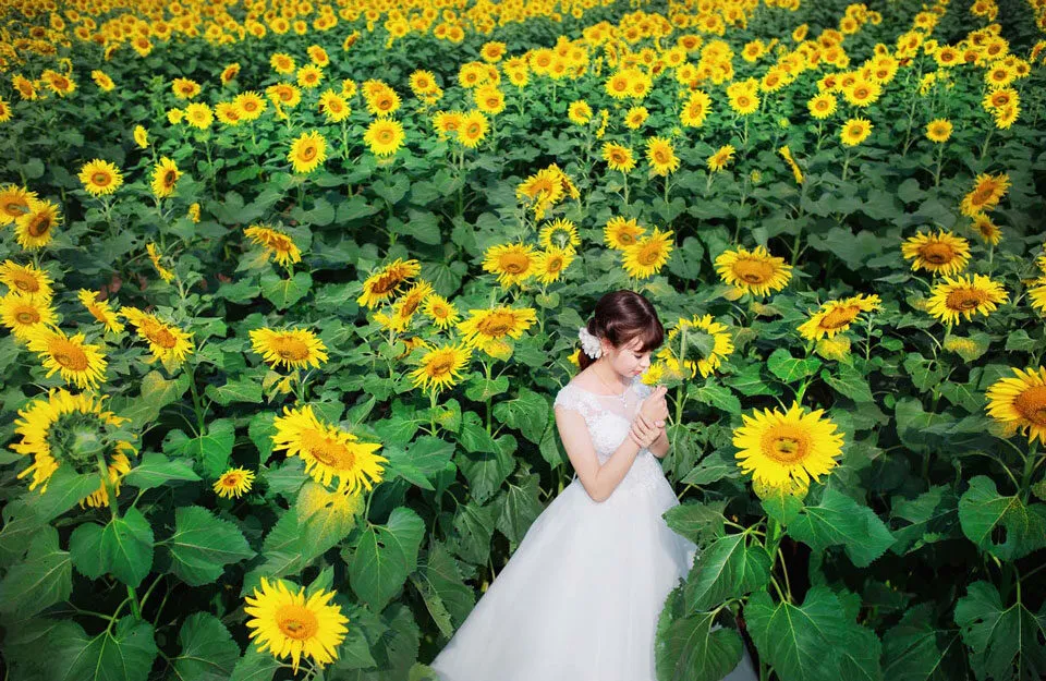 Địa điểm chụp ảnh cưới ở Bắc Ninh